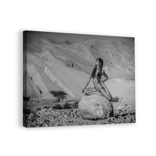 canvas
