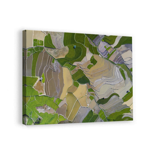 canvas
