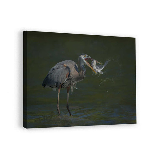 canvas