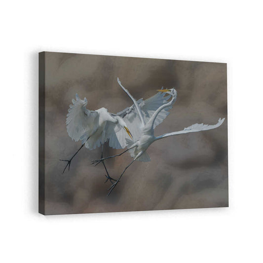 canvas