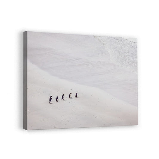canvas