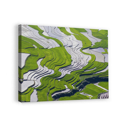 canvas