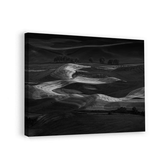 canvas