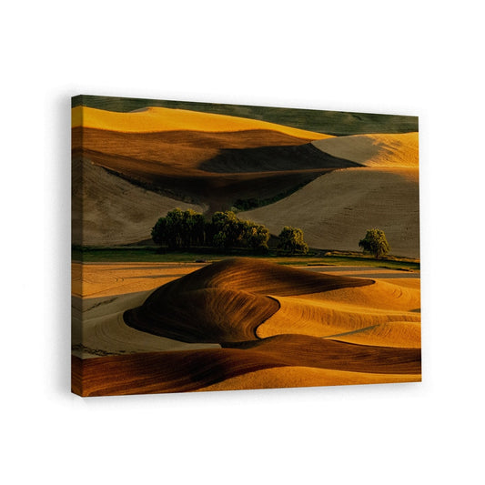 canvas