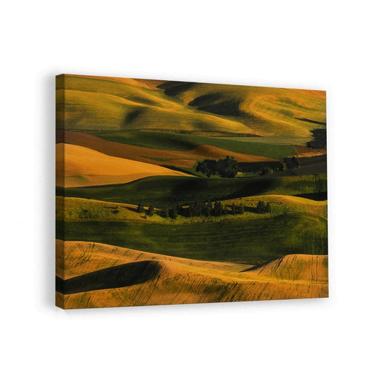 canvas