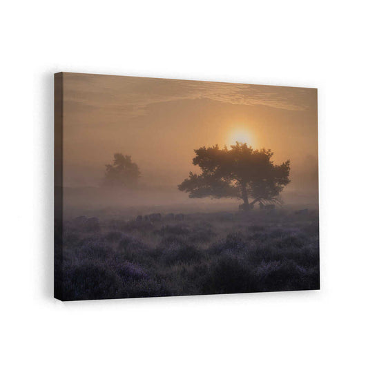 canvas
