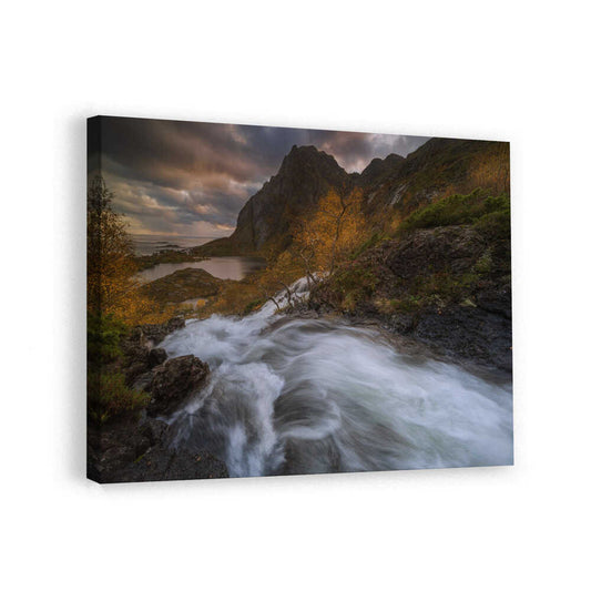 canvas