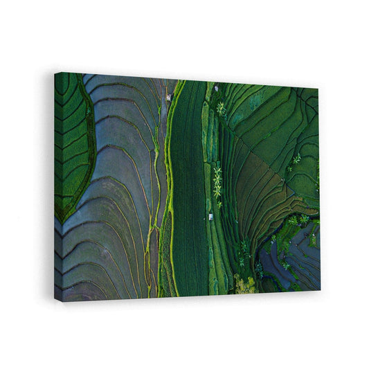 canvas