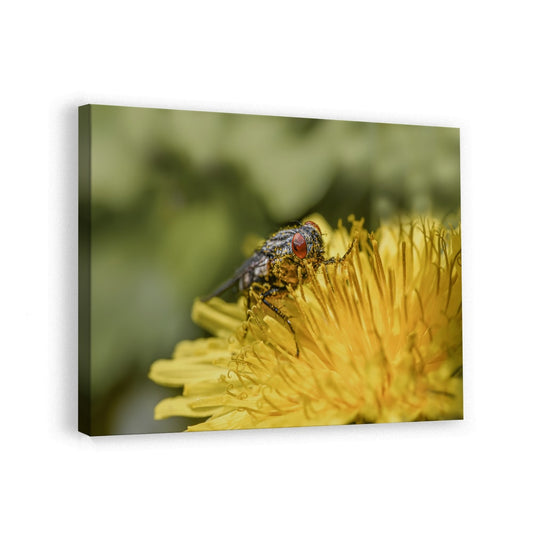 canvas
