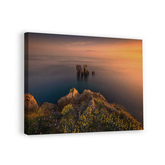 canvas