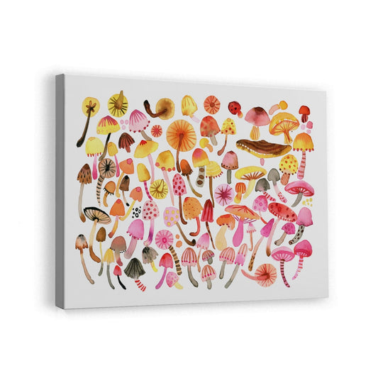 canvas