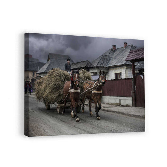 canvas