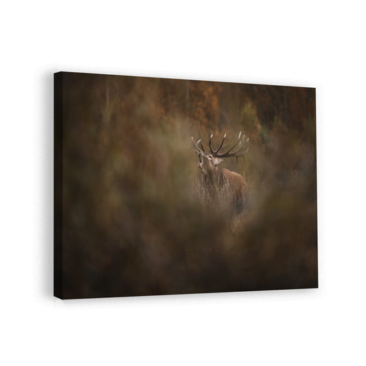 canvas