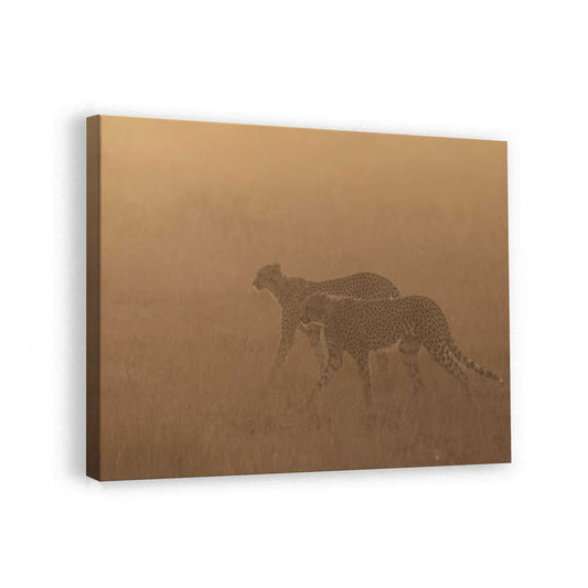 canvas