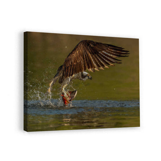 canvas