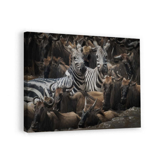 canvas