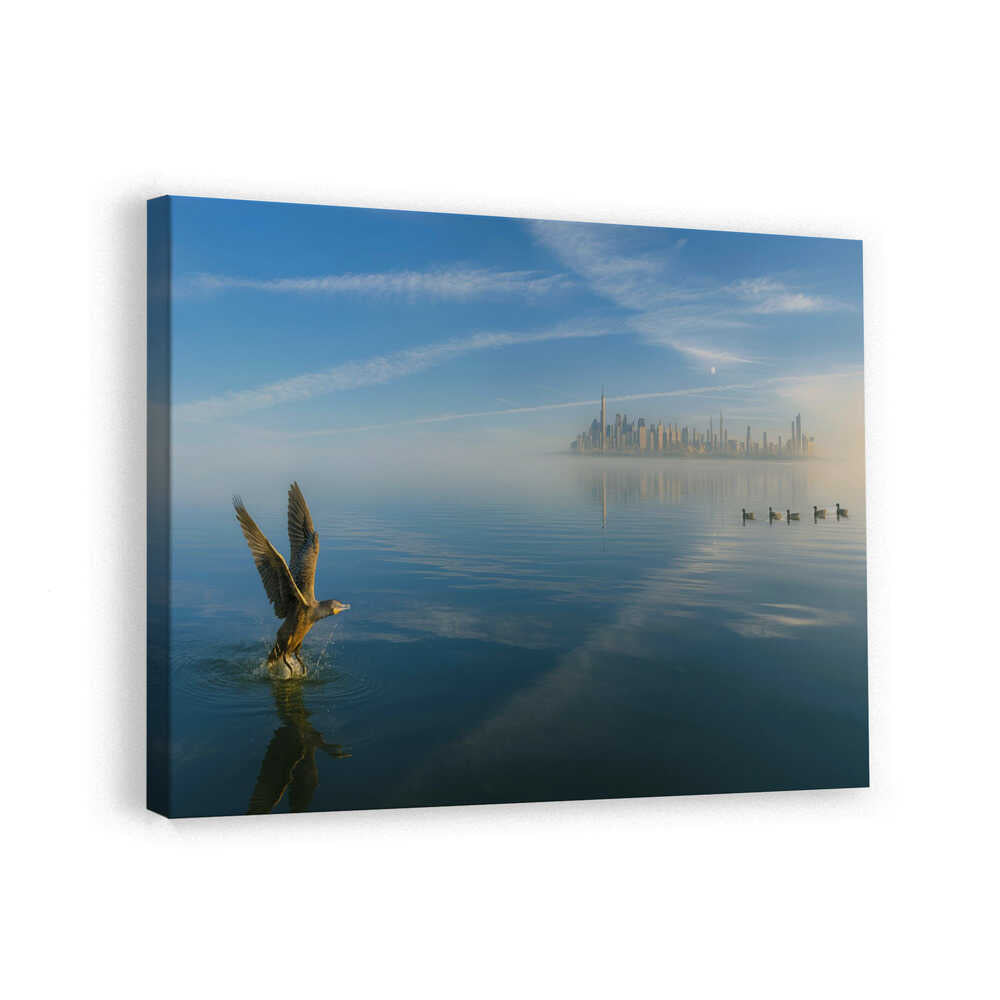canvas