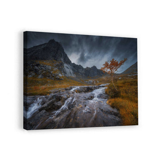 canvas