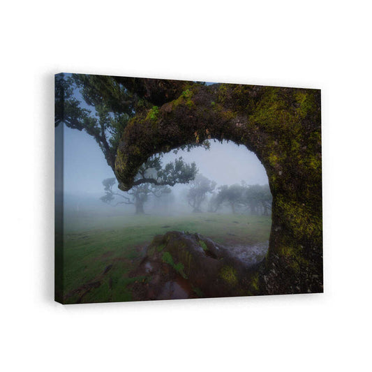 canvas