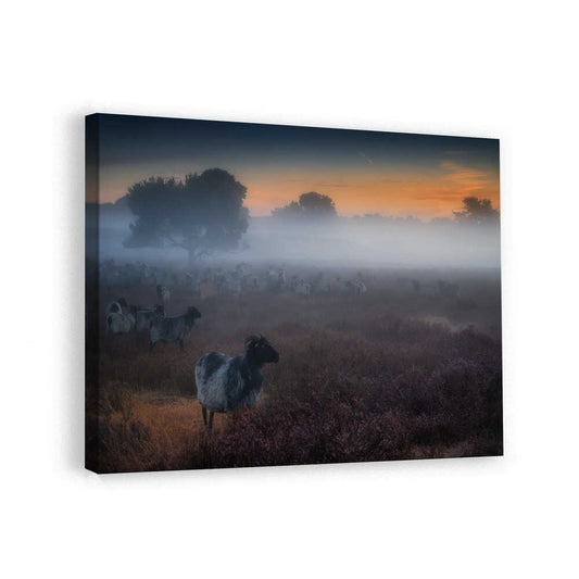 canvas