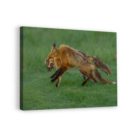 canvas