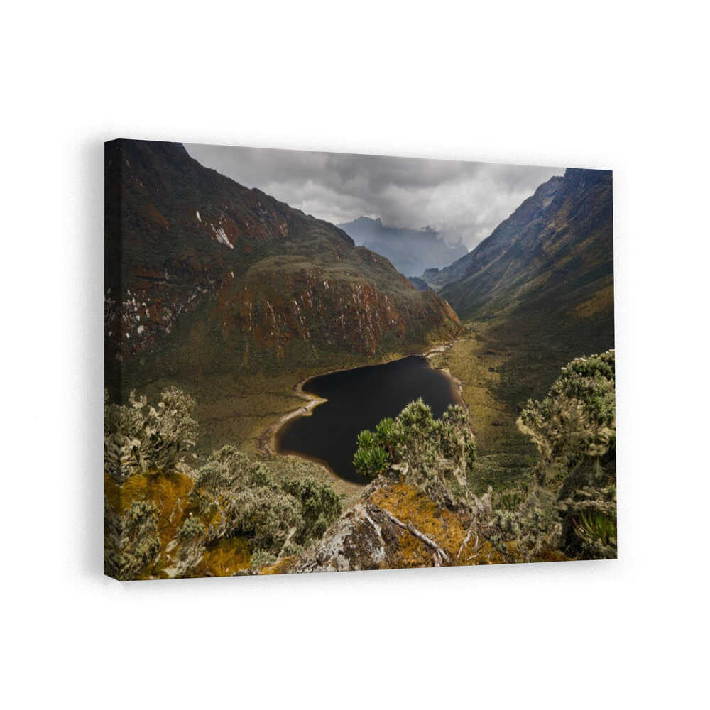 canvas