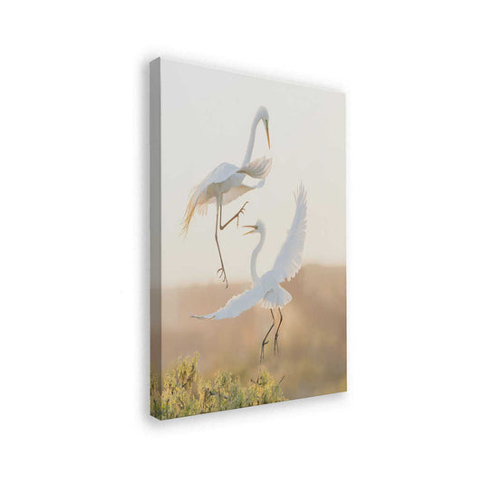 canvas