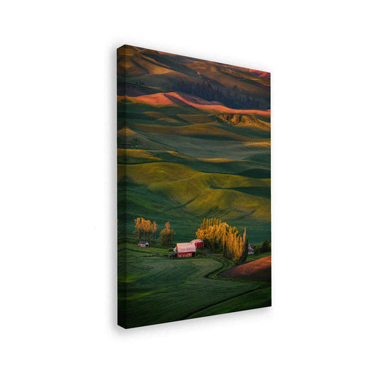 canvas