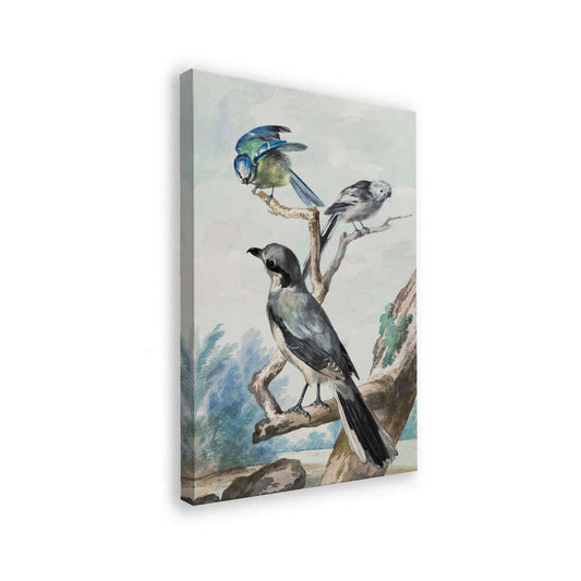 canvas