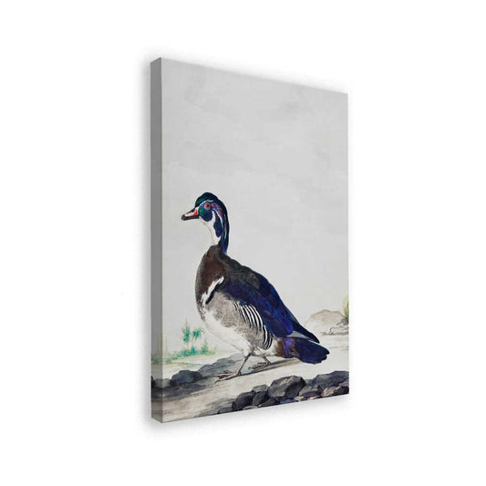 canvas