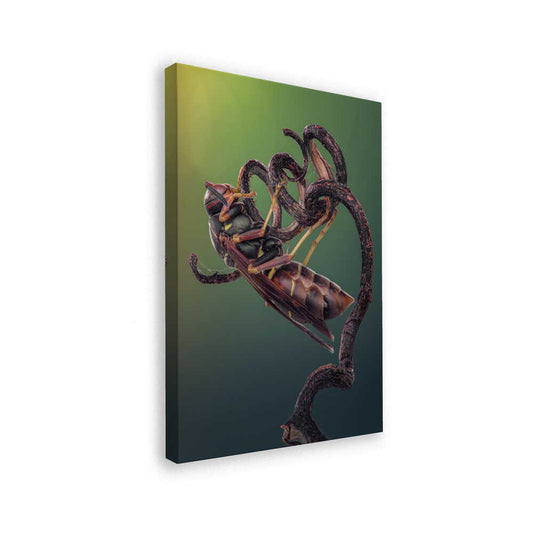 canvas