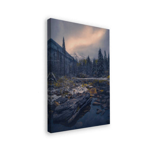 canvas