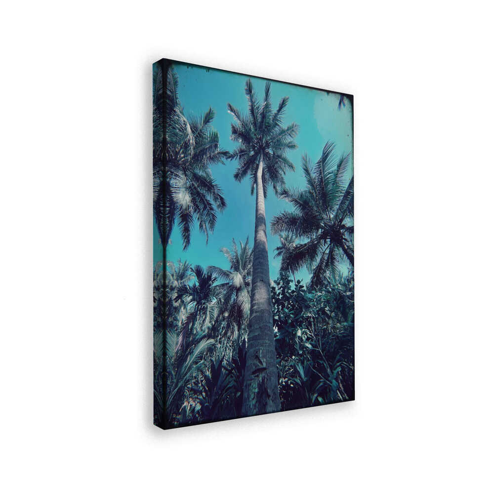 canvas