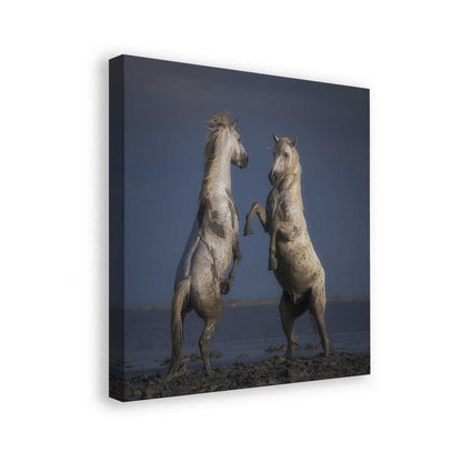 canvas