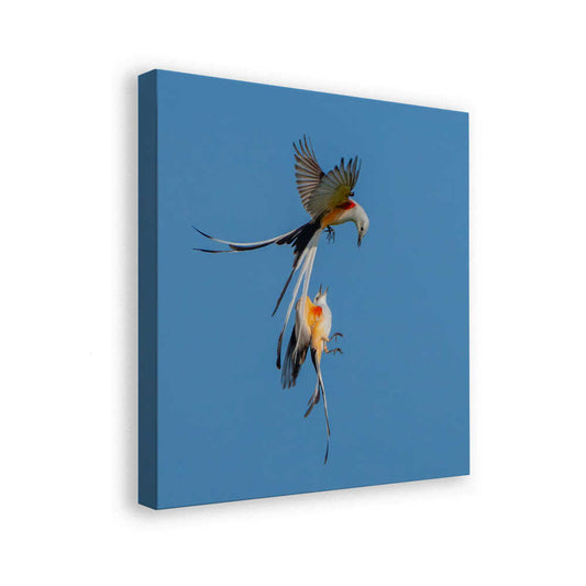 canvas