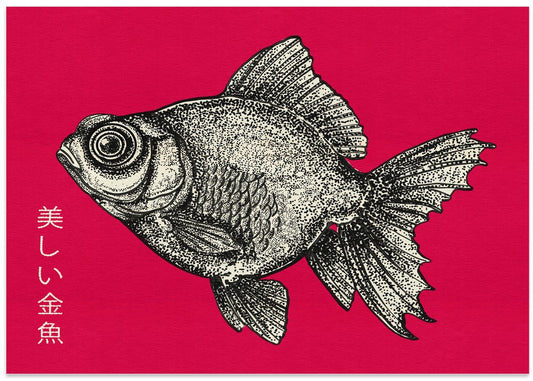 Elegant Black Goldfish