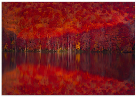 Burning red leaves