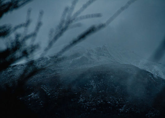 Misty Blue Mountain Through Branches