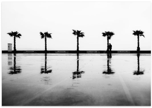 Rainy Palm Reflections