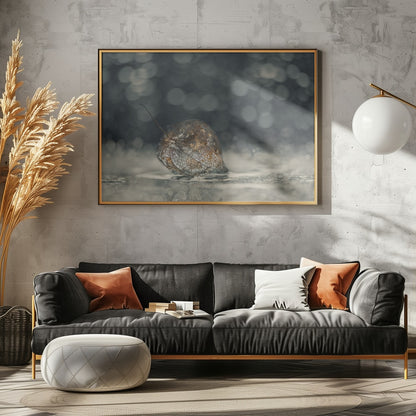 Delicate Physalis Reflection