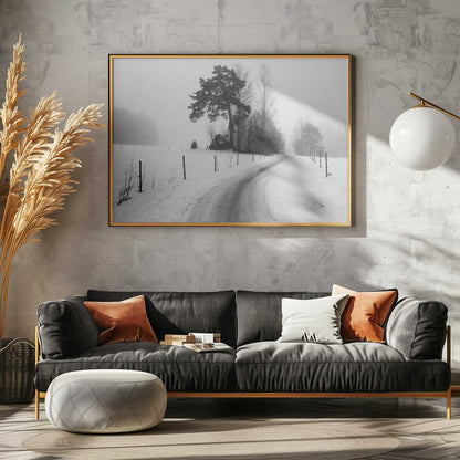 Serene Winter Road