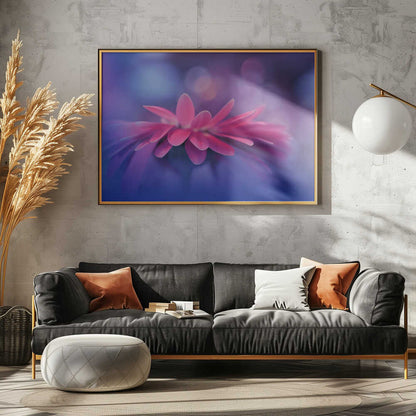 Soft Magenta Bloom