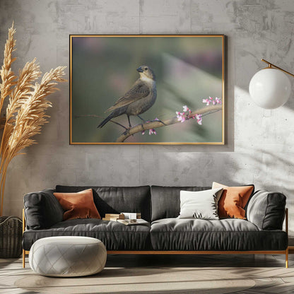 Peaceful Spring Bird