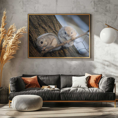 Adorable Flying Squirrels