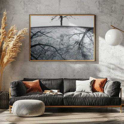 Stark Tree Reflection