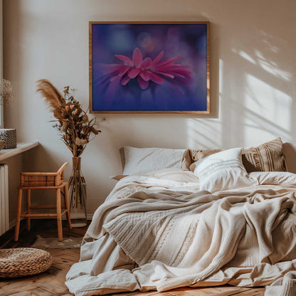 Soft Magenta Bloom