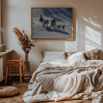 Galloping Horses in Snow