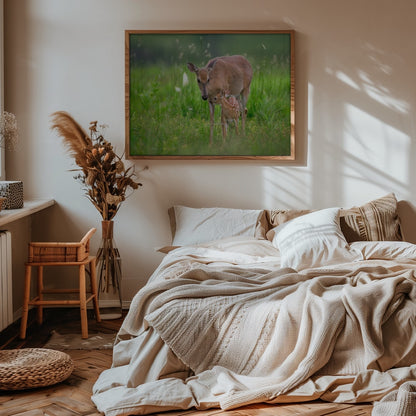 Gentle Deer Family