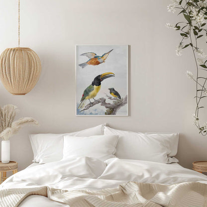 Three Birds  a Kingfisher, a Prince Von Wied's Toucan and an Sparrow