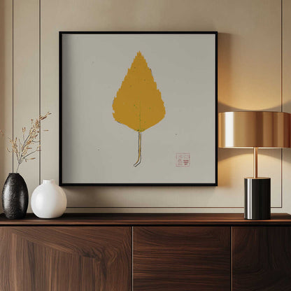 Birch